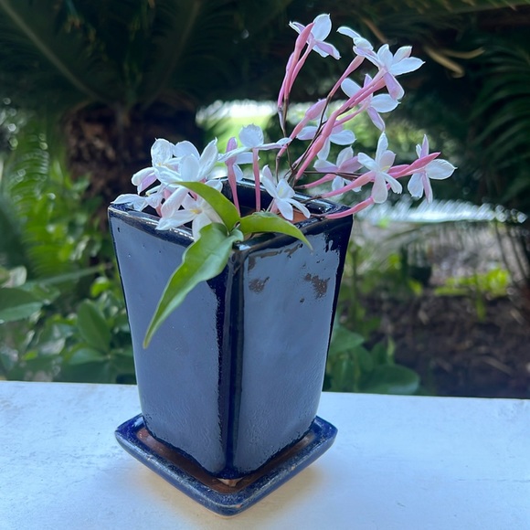 Vintage Glazed Ceramic Pot with Saucer - Picture 5 of 16